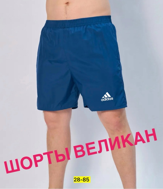 Шорты 22911008