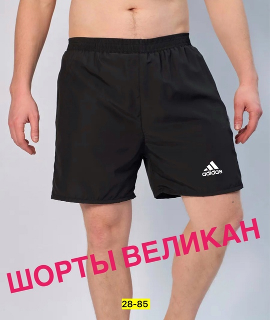 Шорты 22911008
