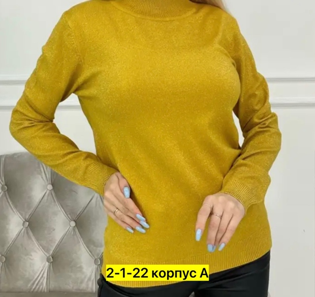 Водолазка 22925396