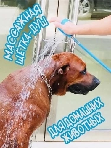 Щетка-душ для собак 22929304