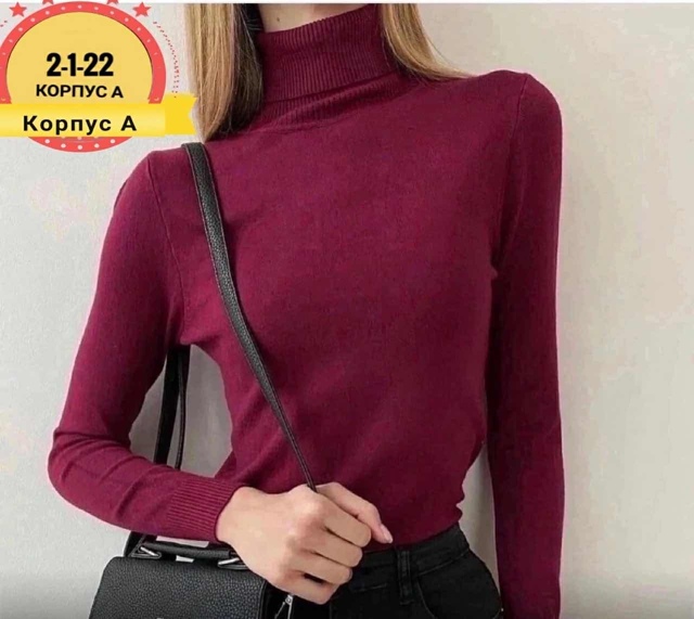 Водолазка 22943688