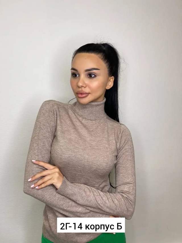 Водолазка 22958760