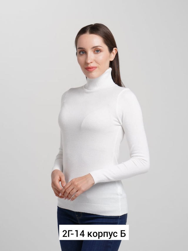 Водолазка 22958760