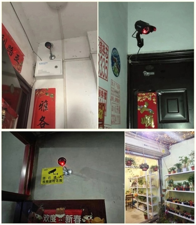 Камера муляж 22983996