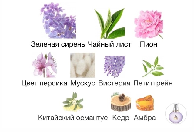 Парфюм 23003408