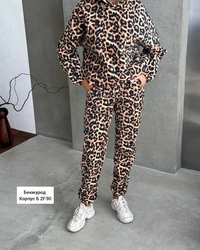 Спортивный костюм 23020041