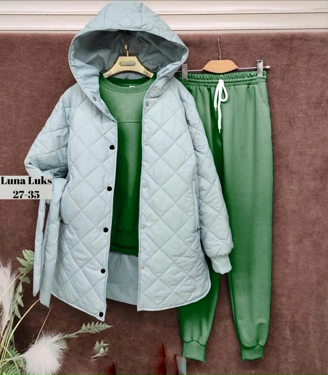 Спортивный костюм 23061801