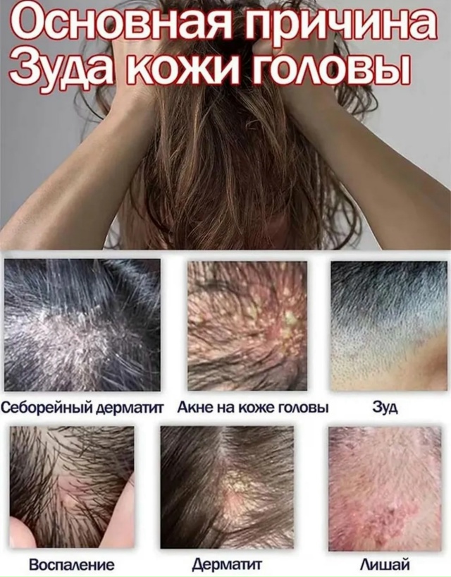 Шампунь 23088605