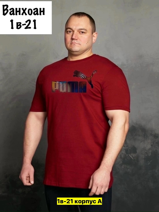 Футболка 23161719