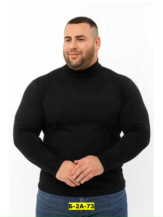 Водолазка 23169345